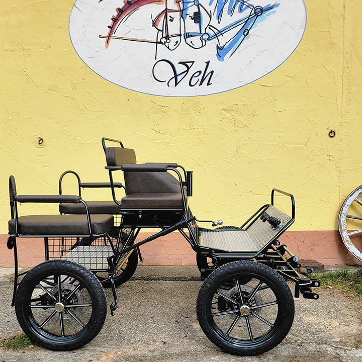 Leichter Pony Trainingswagen