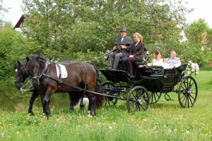 Kutsche mit Brautpaar auf einer Wiese