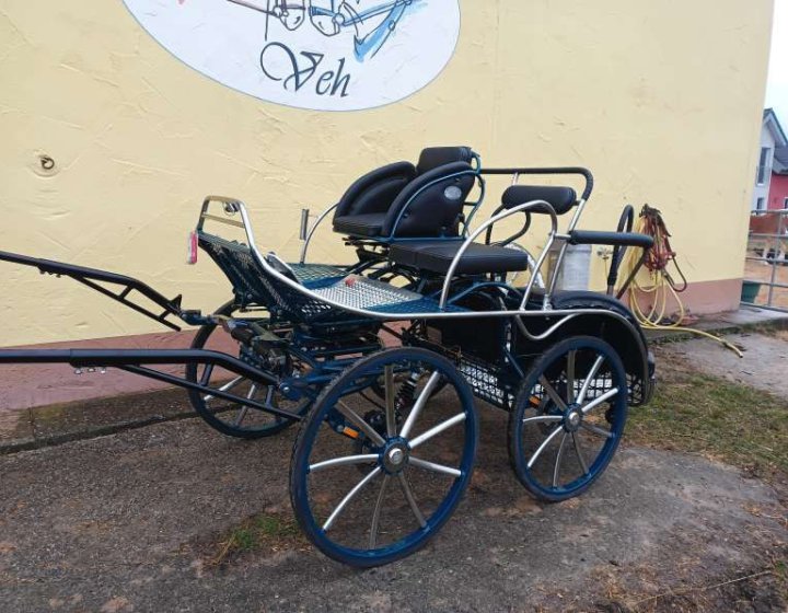 Marathonwagen_Falcon_L136_01