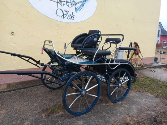 Marathonwagen_Falcon_L136_01