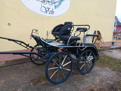 Marathonwagen_Falcon_L136_01