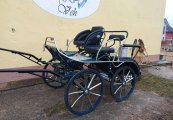 Marathonwagen_Falcon_L136_01