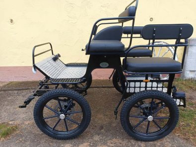 Mini trox 125 web