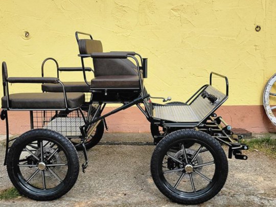 L152-Leichter-Trainingswagen-Pony