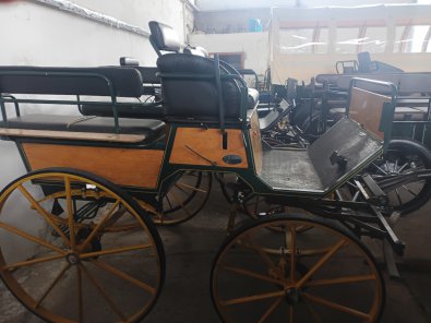 S142_Wagonette_ECC